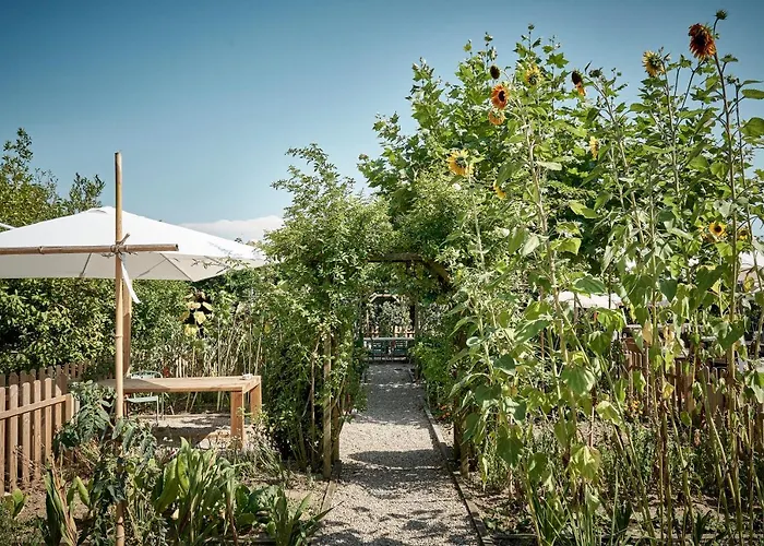 Ibis Styles Donibane Отель 3*